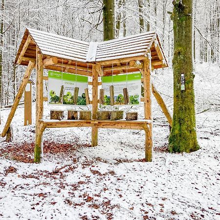 Alte Schule Winterberg Luxury Apartments 외부 사진