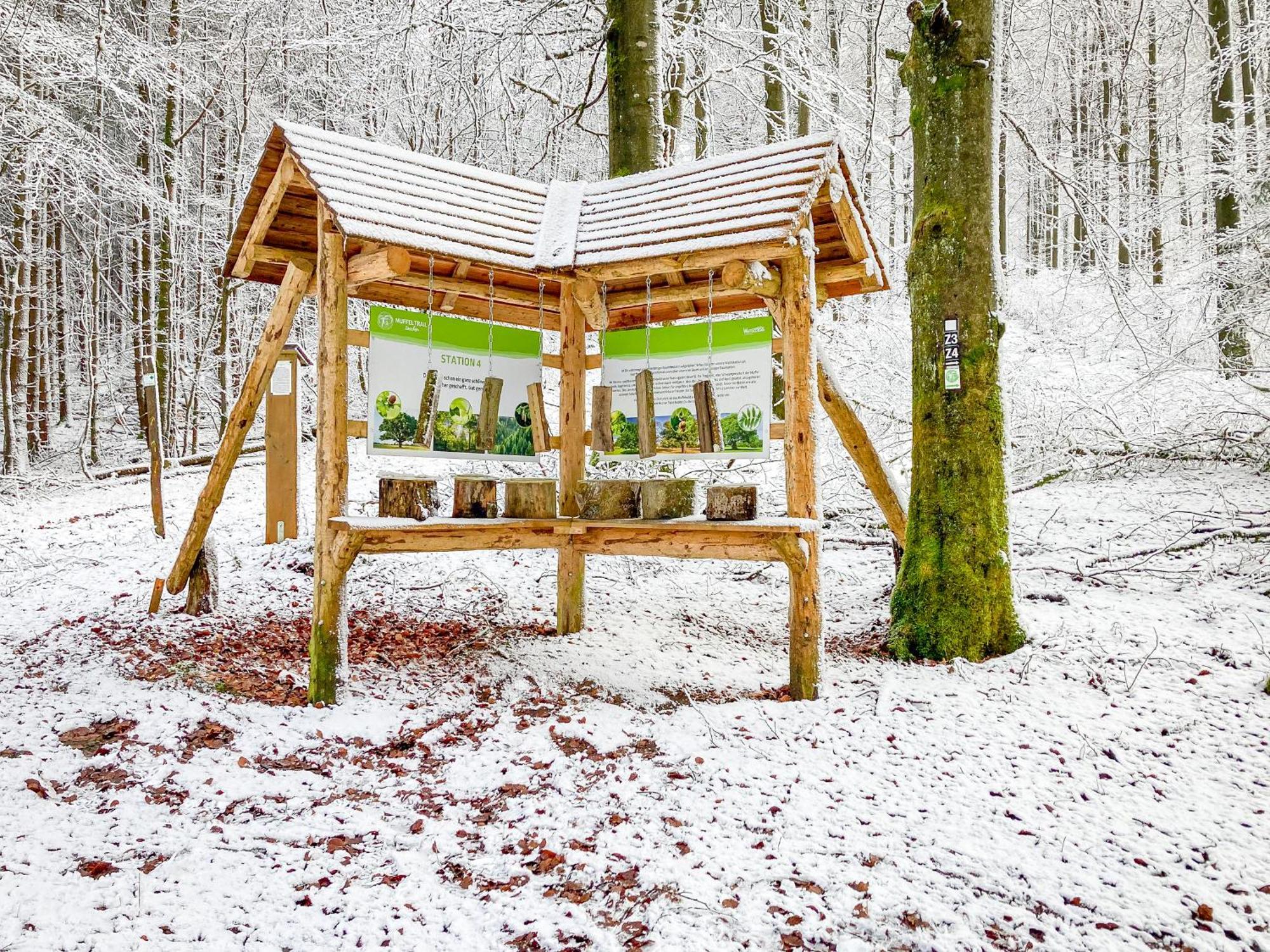 Alte Schule Winterberg Luxury Apartments 외부 사진